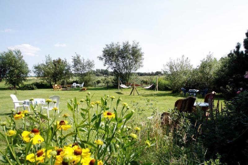Landhaus-Sutje-Deichblick Санкт Петер-Ординг Екстериор снимка